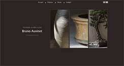 Desktop Screenshot of bruno-auvinet.fr